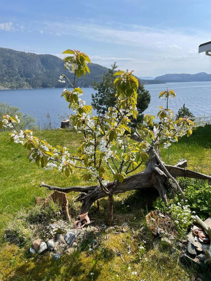 Langenuen Motel & Camping Stord Kültér fotó